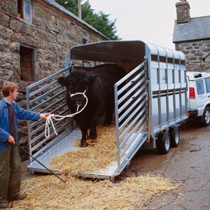 Ifor Williams trailers