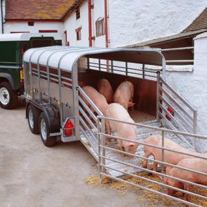Ifor Williams trailers